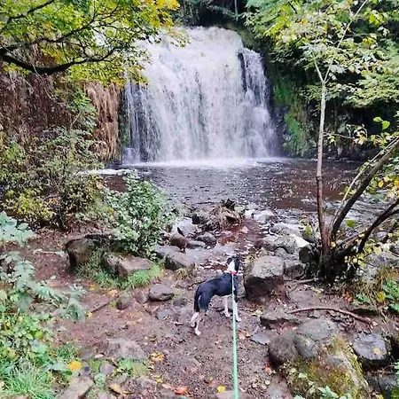 Le 77 - Nature Proche S.besse *
