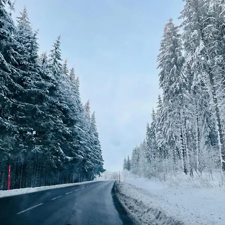 Le 77 - Nature Proche S.besse Chalet *