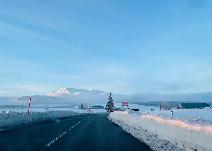 Le 77 - Nature Proche S.besse *