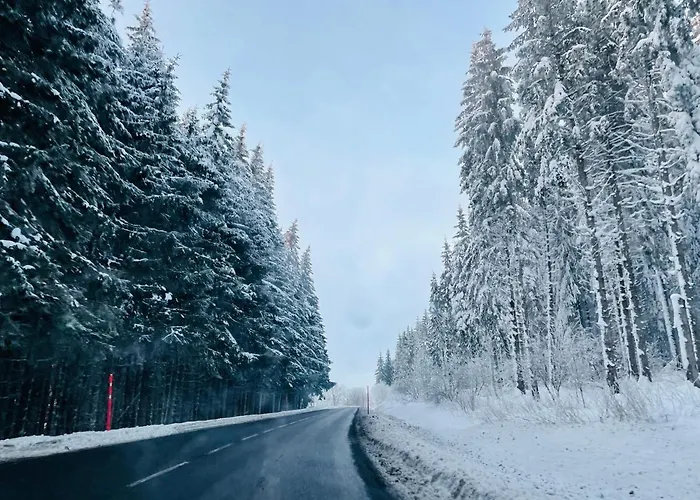 Le 77 - Nature Proche S.besse Шале *